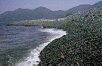 The rocky beach of Ko Hin Ngam